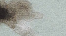 New Watery Floral Pelican Multi