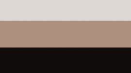 Black/Nutmeg/Light Ivory