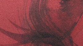 New Lunar Plumes Mini Red Multi