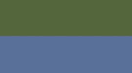Loden Green/Blue Twill
