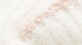 Light Ivory/Crepe