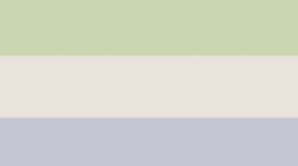 Unisex Power Stride Crew Socks 3 Pack *Updated