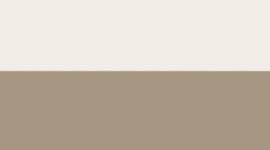 Light Ivory/Light Ivory/Warm Ash Grey