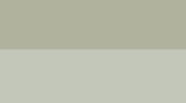 Fog Green/Bay Leaf (not available)