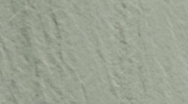 New Willow Leaf/Fog Green