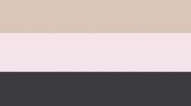 Black/Blissful Pink/Nutmeg (not available)