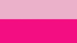 New Pink Frosting/Calypso Pink