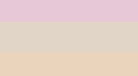 Blissful Pink/Sheer Oak/Gold