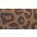 Leopardo Shift Midi Desert Khaki