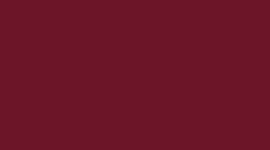 Oxblood/Silver