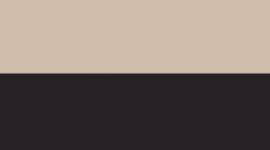 Sheer Oak/Black