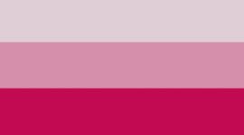 Calypso Pink/Blissful Pink/Pink Frosting