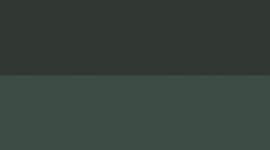 Rainforest Green/Palm Deco (not available)
