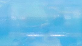 Cornflower/Blissful Pink