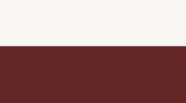 New Light Ivory/Oxblood