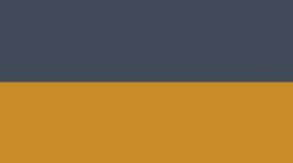 True Navy/Melrose Tan/Light Ivory