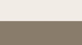 Light Ivory/Olive Brown