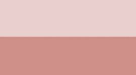 Mink Berry/Twilight Rose