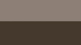 Olive Brown/Warm Ash Grey