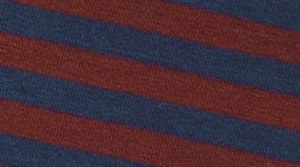 New Narrow Bold Stripe Club Blue Rockwood
