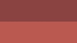 New Dark Rose Gold/Silver