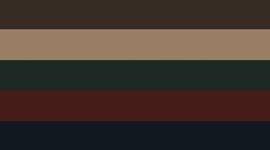 New True Navy/Rockwood/Rainforest Green/Olive Brown/Nutmeg