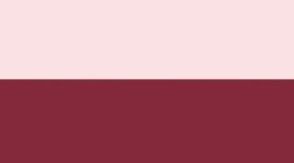 New Pink Pearl/Burgundy Bay