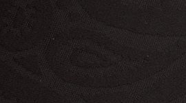 New Paisley Texture Black