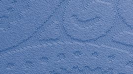 New Paisley Texture Prep Blue