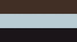 New Black/Walnut Crunch/Foam Cloud