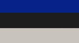 New Black/Light Ivory/Riverside