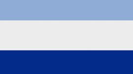 Unisex Power Stride Ankle Socks *3 Pack