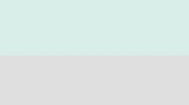 New White/Dove Grey/Pelican