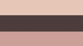 French Press/Twilight Rose/Misty Shell (not available)