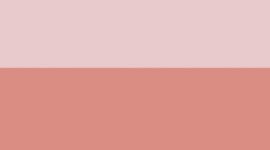 Blissful Pink/Palm Deco (not available)