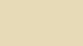 Fade Dye Vanilla Gold