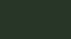New Shadow Green