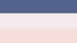 New Blissful Pink/Pink Haze/Blue Twill
