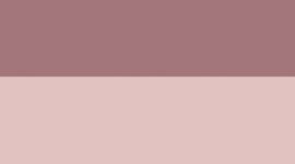 New Pink Champagne/Mink Berry/Gold