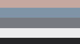 New Black/White/Solar Grey/Ashen Rose/Steel Blue