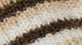 New Surround Stripe Trench Coconut Ivory