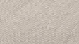 New Downtown Tan/Silver