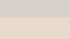 New Downtown Tan/Wacky Khaki