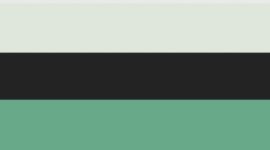 Nouveau Black/Canteen Green/Matcha Magic