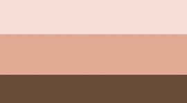 New Java/Dusty Clay/Misty Shell