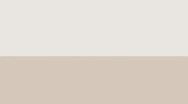 New Light Ivory/Wacky Khaki/Gold