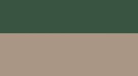 New Ivy Grove/Wacky Khaki