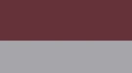 Nouveau Burgundy Bay/Light Ivory/Silver