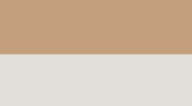 New Wide Stripe Camel Brown Coconut Ivory
