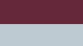 New Wide Stripe Burgundy Bay Foam Cloud